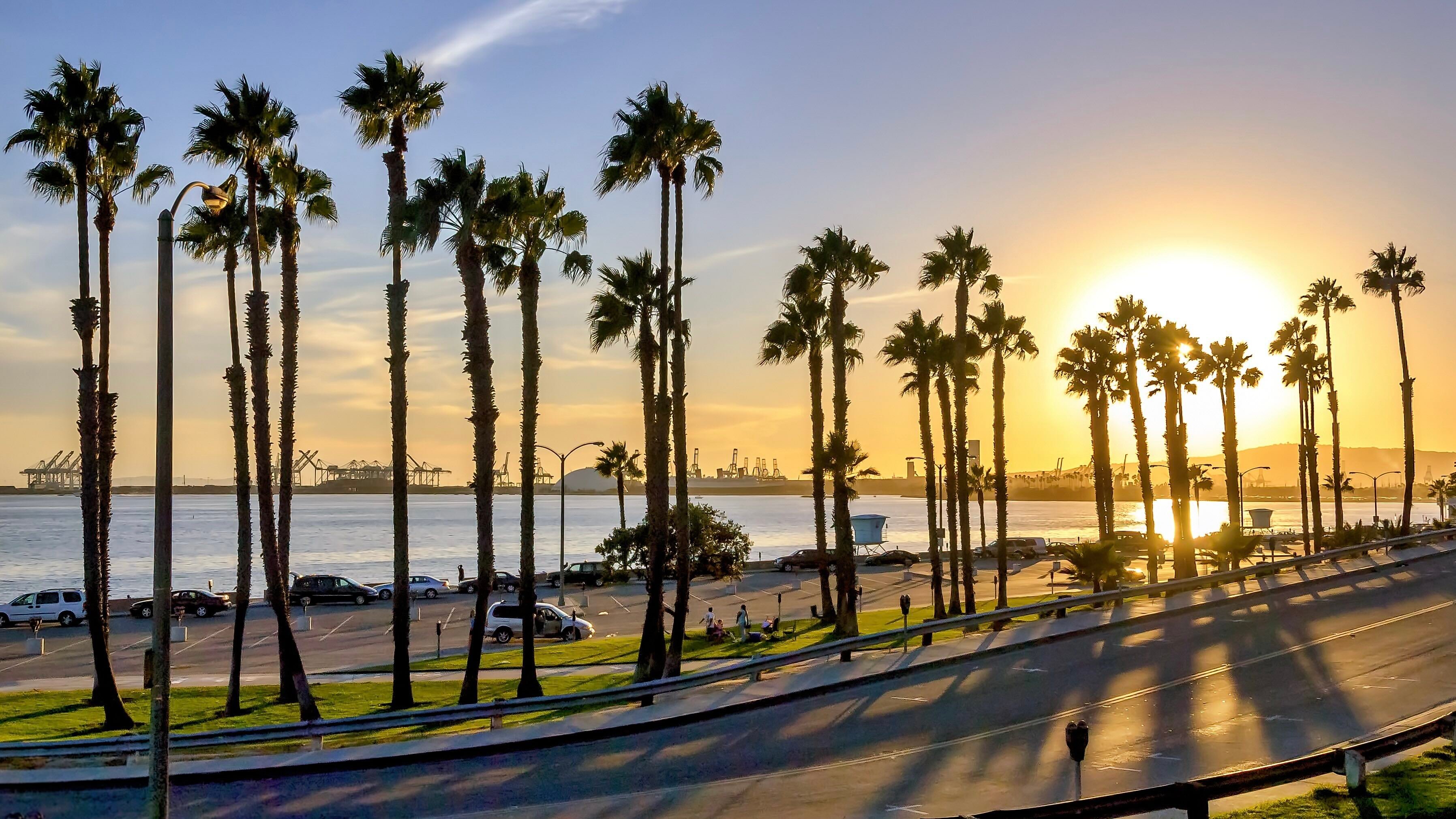 Long Beach Property Manager